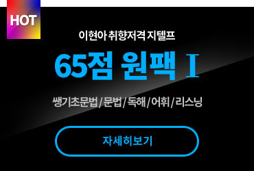 이현아의 취향저격 지텔프 65점 원팩 Ⅰ 쌩기초문법,문법 ,독해, 어휘, 리스닝